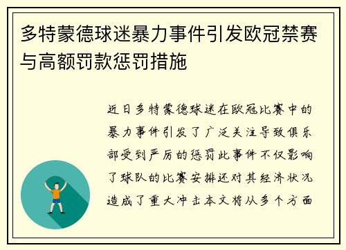 多特蒙德球迷暴力事件引发欧冠禁赛与高额罚款惩罚措施